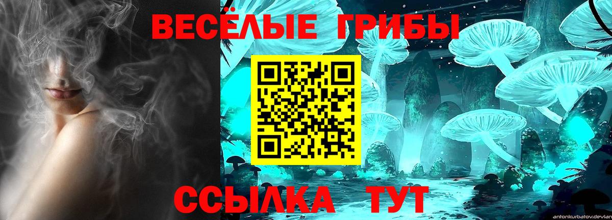купить наркоту  Вход с VPN  Наро-Фоминск  Псилоцибиновые грибы ЛСД  Псилоцибиновые грибы прущие грибы 